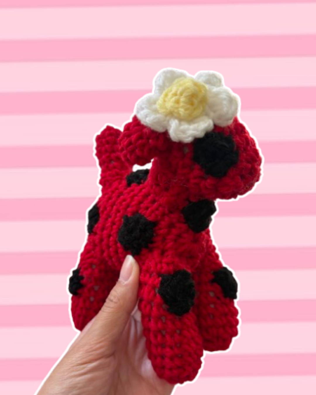 Red and black polkadot puppy with daisy flower