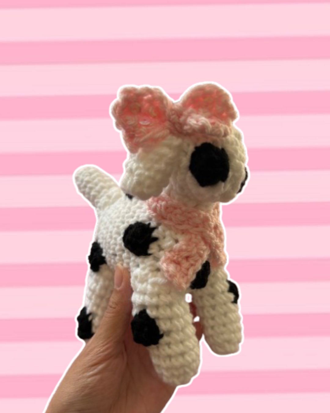 White and black polkadot puppy