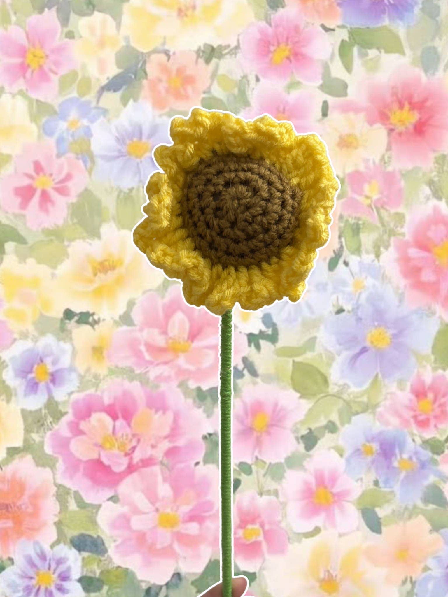 Dark brown sunflower single flower