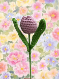 Light purple tulip single flower