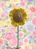 Light brown sunflower single flower