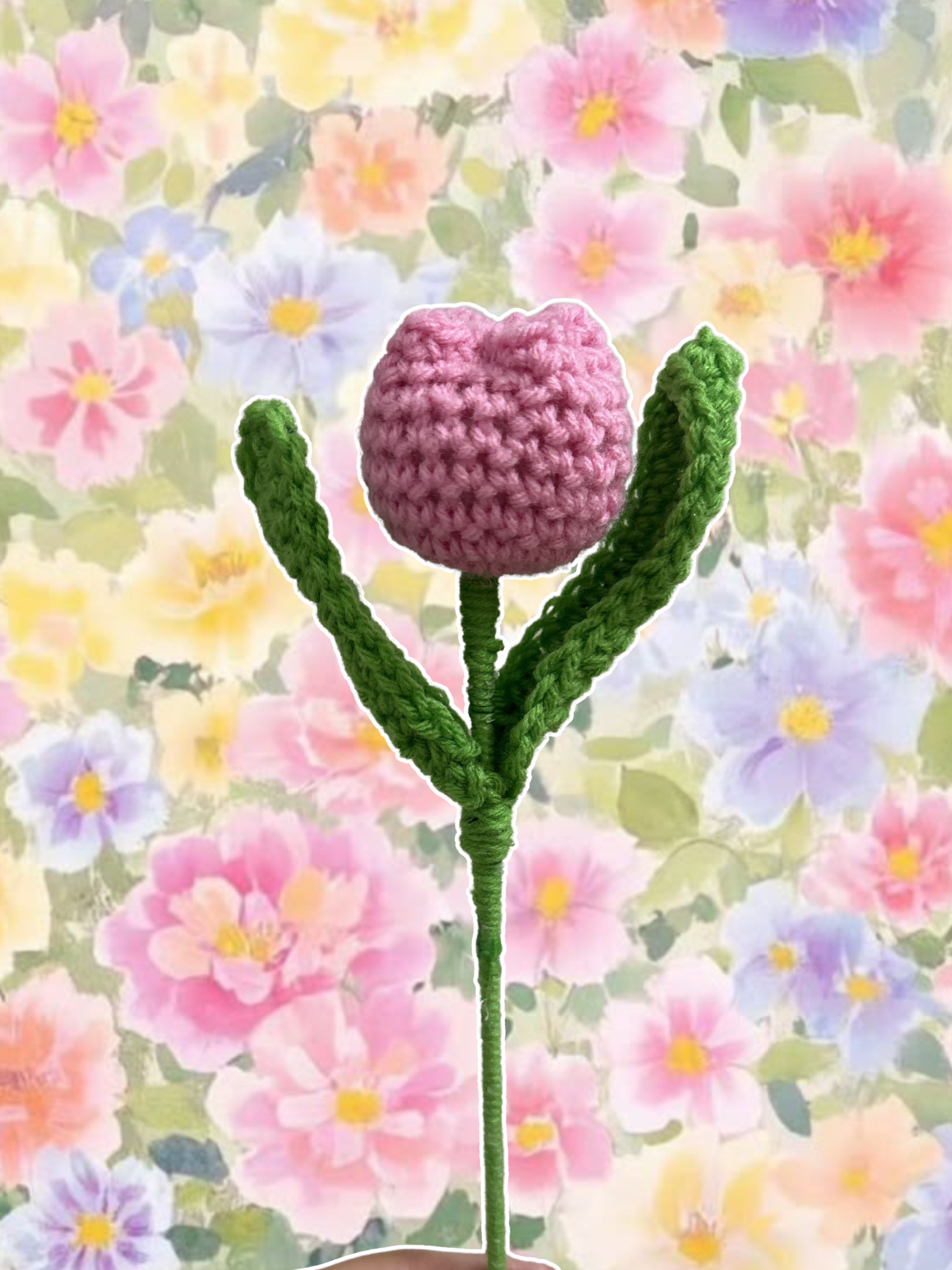Pink style 1 tulip single flower