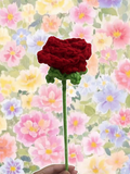 Red rose single flower