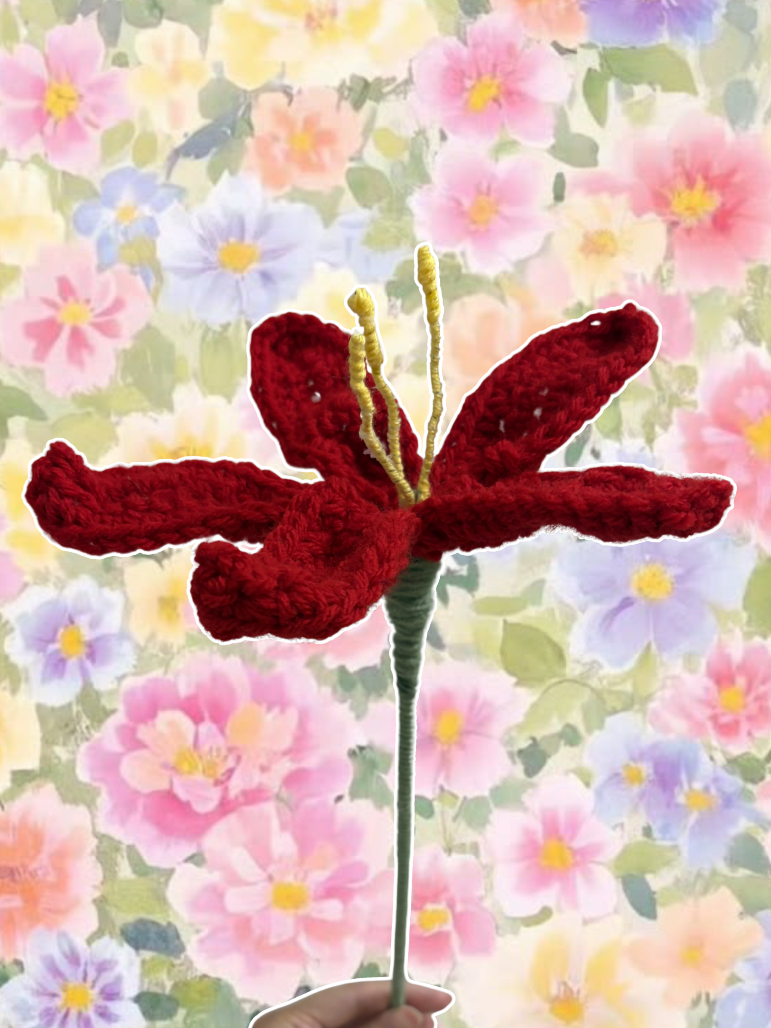 Red lily single flower
